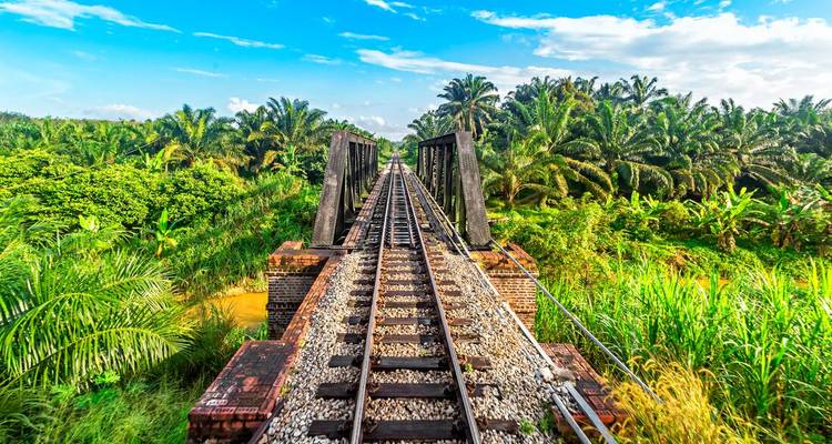 Aventure ferroviaire dans la jungle de Malaisie - Intrepid Travel 10
