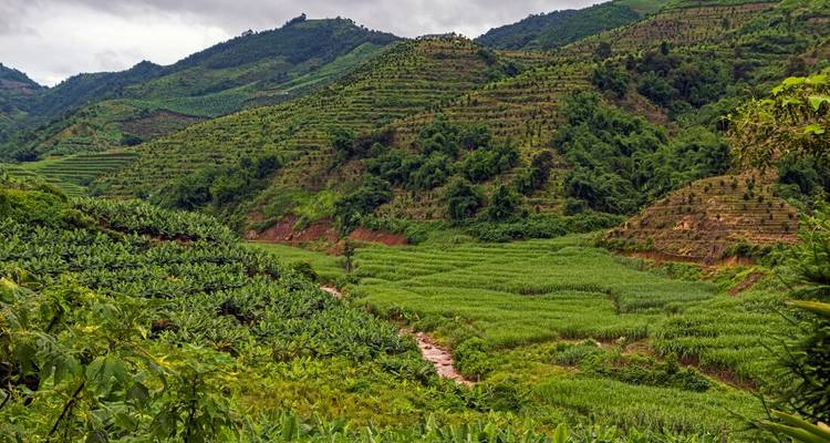 Chine et Laos : De Kunming à Bangkok en train - Intrepid Travel 9