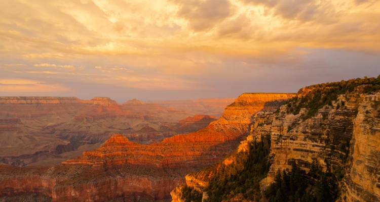 Gouden licht valt over de richels van de Grand Canyon.