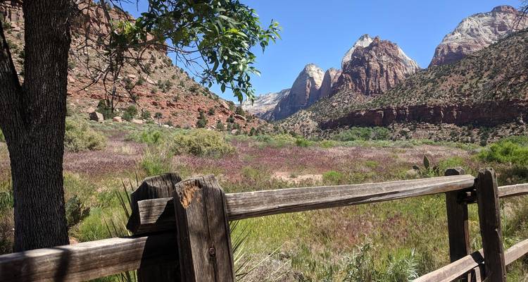 Bergachtig landschap met een houten hek en boom.