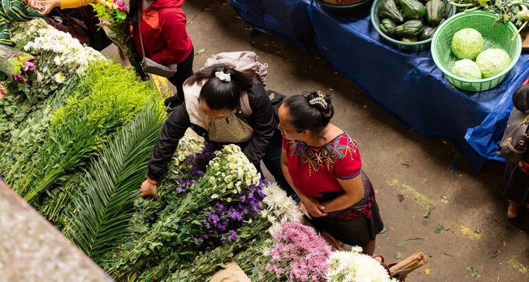 People shopping for flowers at a market.