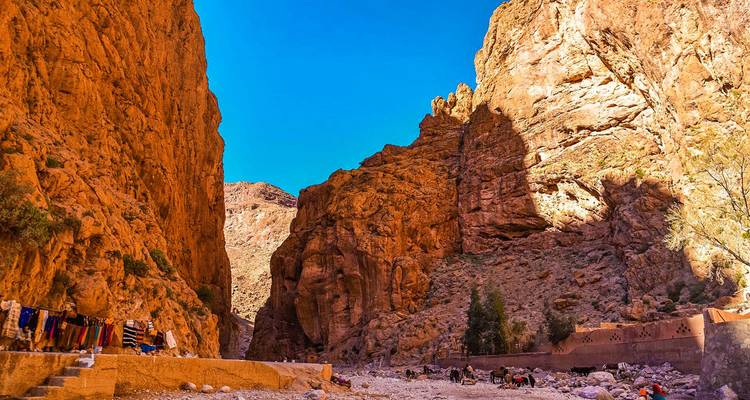 Sheer orange rock walls of Todra Gorge with small donkeys and stalls along the riverbed.
