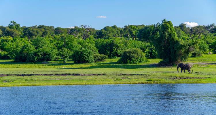 5 Day | Victoria Falls, Chobe National Park &  Okovango Delta Expolorer - Timeline Travel DMC 1