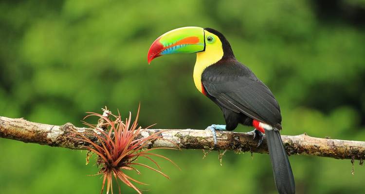 Best of Central America (46 destinations) - Intrepid Travel 5
