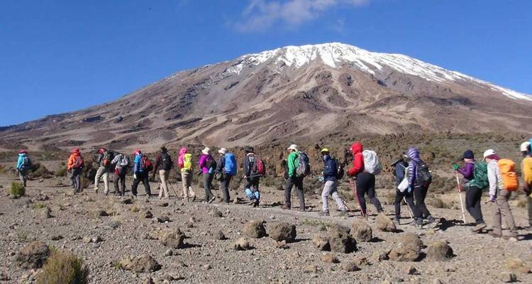 Wanderer, die unter klarem Himmel in Richtung Kilimandscharo wandern.