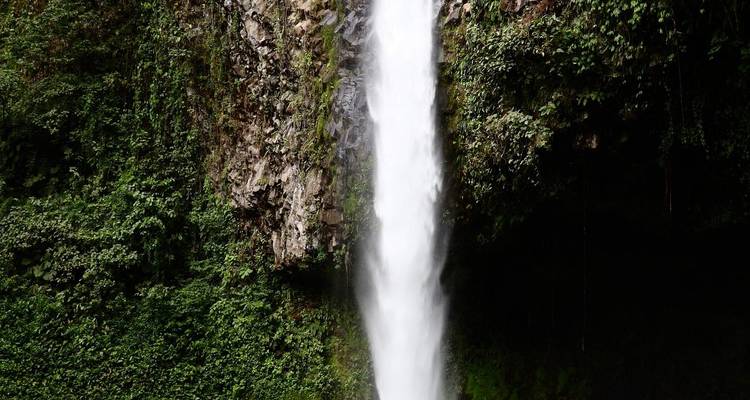 Hoge waterval die naar beneden stort langs een rotsachtige klif, omgeven door groen bos.
