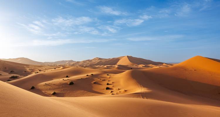 Les dunes de sable doré du Sahara sous un ciel bleu clair avec des empreintes et des ondulations visibles