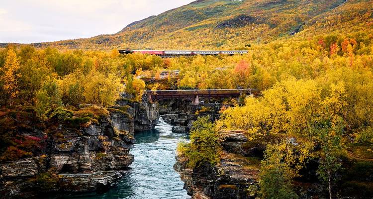 Feuillage d'automne coloré et un train traversant un pont dans une gorge rocheuse.