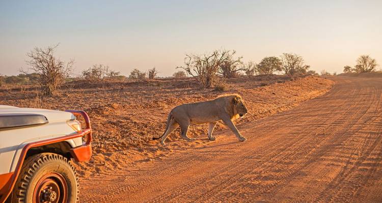 Kenya by Rail: Trains, Safaris & Beaches - Intrepid Travel 1