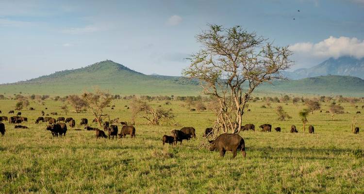 Kenya by Rail: Trains, Safaris & Beaches - Intrepid Travel 2