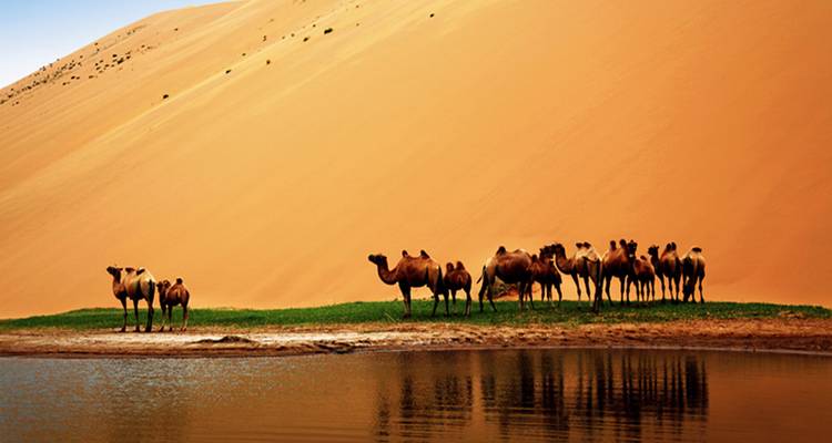 Circuit en petit groupe de Lanzhou à Dunhuang 8J : Au cœur du désert de Badain Jarhan - Top China Travel 7