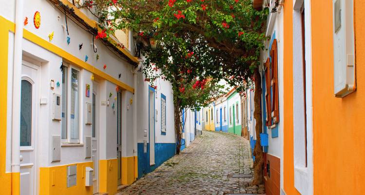 Picturesque street with colorful houses and blooming trees.