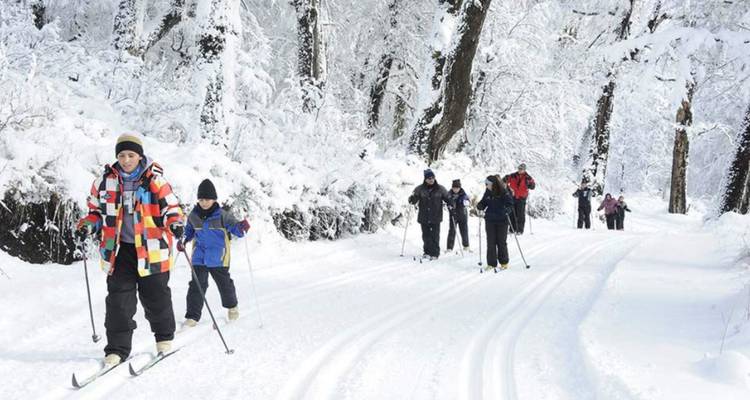 Grupo de personas esquiando en un bosque nevado.