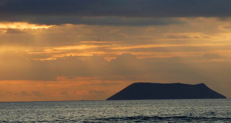 Les merveilles de l'île de Santa Cruz - Authentic Ecuador 6