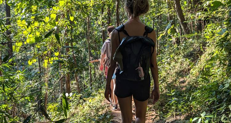 Aventure de 7 jours en Thaïlande : Bangkok, Chiang Mai et le sanctuaire éthique des éléphants - The Dragon Trip 8