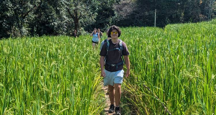 Aventure de 7 jours en Thaïlande : Bangkok, Chiang Mai et le sanctuaire éthique des éléphants - The Dragon Trip 9
