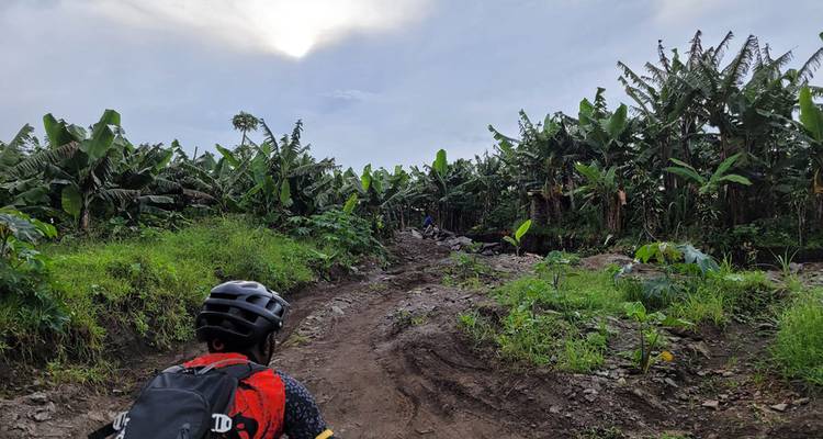 Cyclisme dans les régions sauvages de l'Ouganda - SpiceRoads Cycling 3
