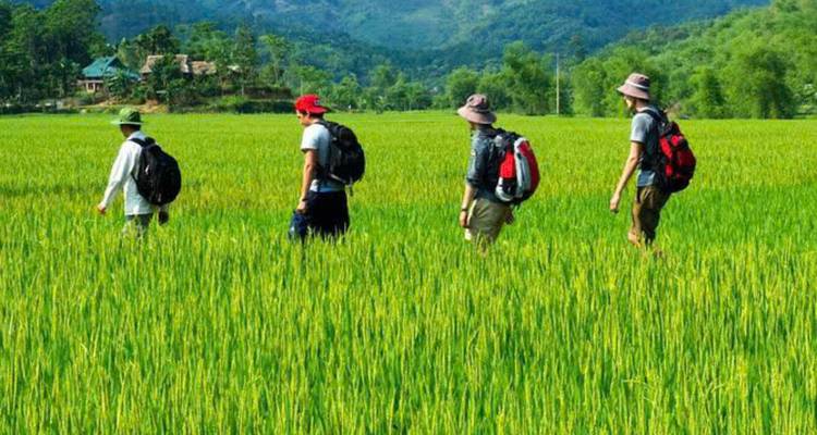 PU LUONG OFF-ROAD TREKKING 3 Days 2 Nights from Hanoi - Open Asia Travel  6