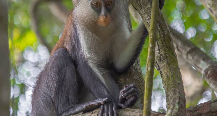 Explora las Maravillas del Sudoeste de Nigeria en 7 Días - Across Africa Tours & Travel 2