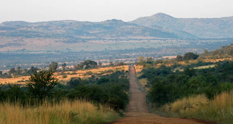 2 Días - Aventura Safari en Camping Reserva de Caza Pilanesberg - Knap Tours Limited 1