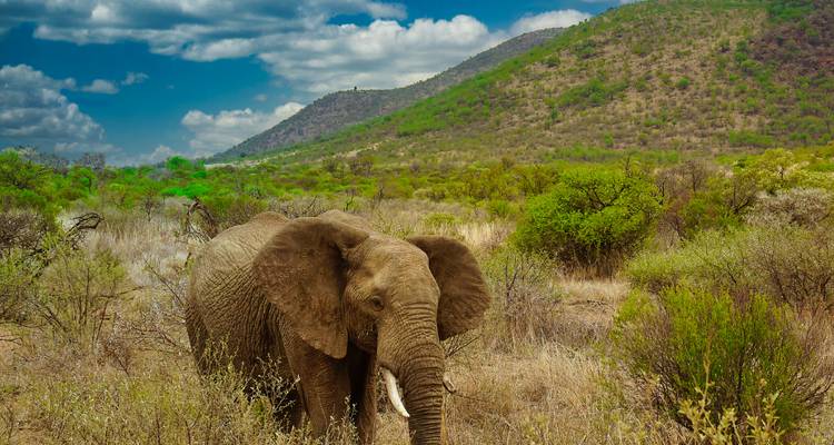 2 Días - Aventura Safari en Camping Reserva de Caza Pilanesberg - Knap Tours Limited 3