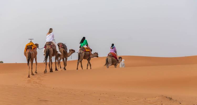 Desde Marrakech: Excursión estudiantil al desierto del Sahara, Marruecos - Escorted Morocco Tours 6