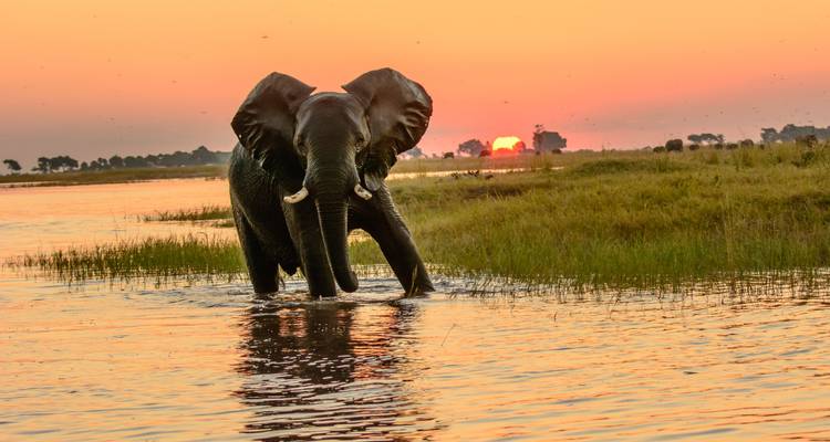 2 días - Experiencia de safari en el Parque Nacional de Chobe - Knap Tours Limited 3