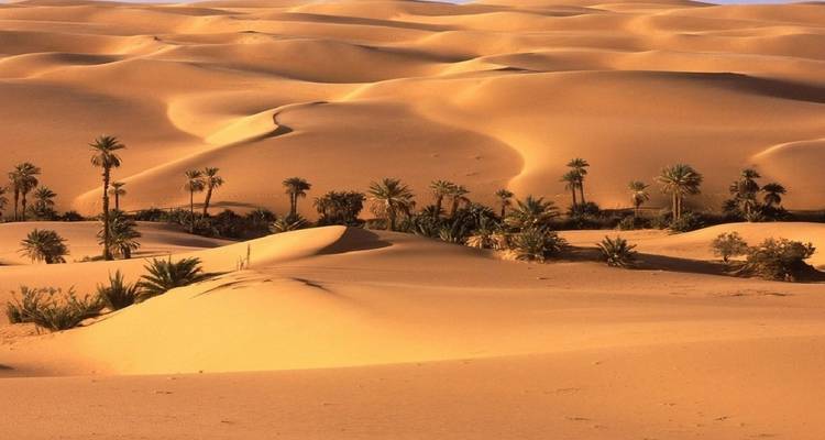 Private tour from Marrakech via Sahara, Fes & Chefchaouen - Morocco Desert Trip 1