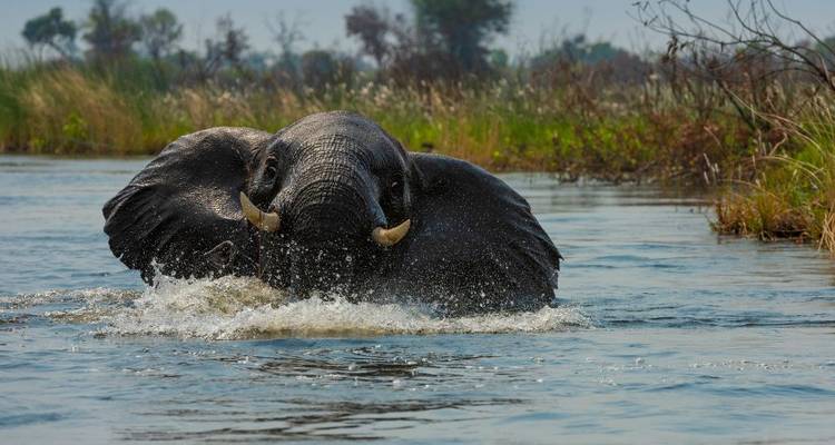 2-Day Luxury Okavango Delta Safari at Machaba Camp - Knap Tours Limited 2