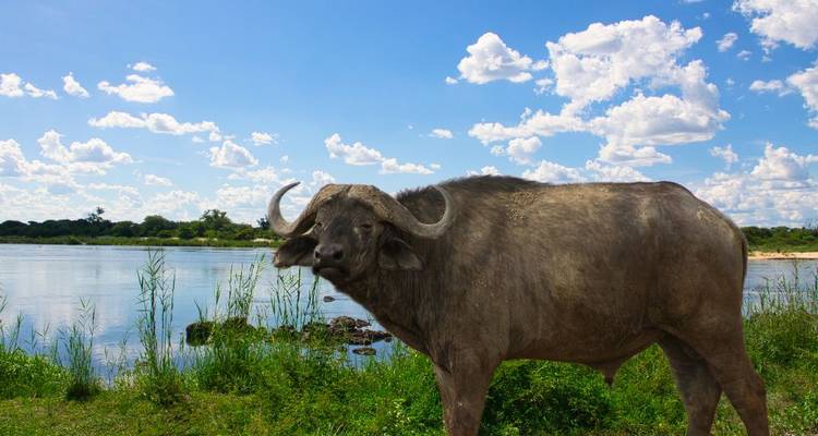 2 Day - Okavango Delta Mokoro Safari Water Adventure - Knap Tours Limited 2
