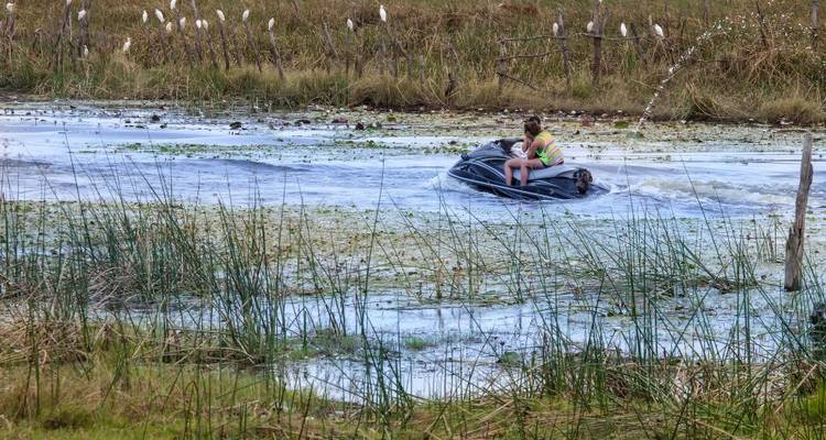 2 Day - Okavango Delta Mokoro Safari Water Adventure - Knap Tours Limited 4