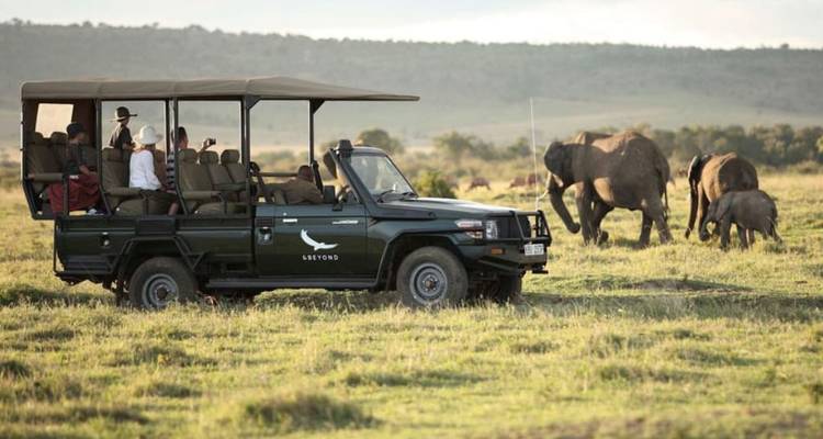 2-Day Sabi Sands overnight Safari a Wild Quick Escape - Knap Tours Limited 5