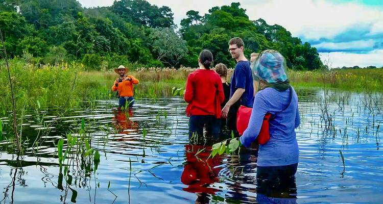 Private Northern Brazil Discovery, Daily Start & Exclusive Car - Agate Travel 4