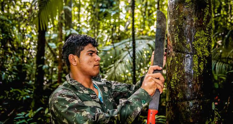 Lokale gids gebruikt een machete om latex te verzamelen van een boom in het dichte Amazone-regenwoud