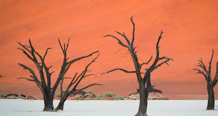 Escapade de 2 jours à Sossusvlei et dans le désert du Namib - Knap Tours Limited 6