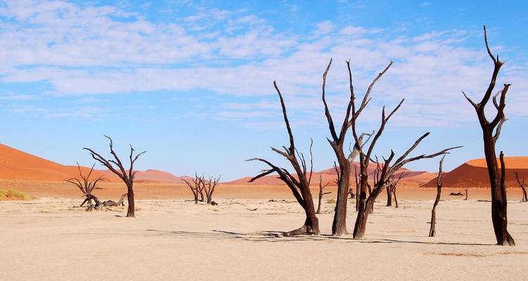 Escapade de 2 jours à Sossusvlei et dans le désert du Namib - Knap Tours Limited 9