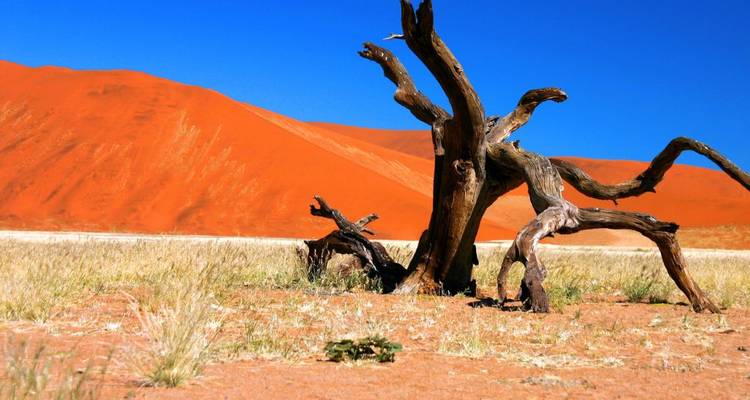 Escapade de 2 jours à Sossusvlei et dans le désert du Namib - Knap Tours Limited 10