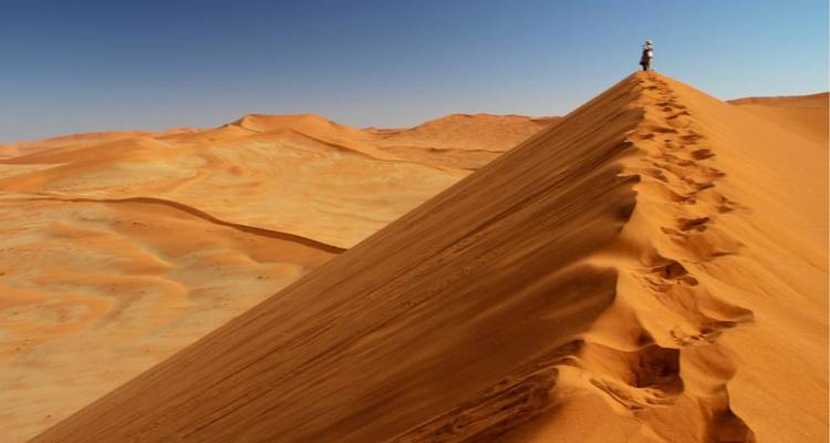 Circuit de 2 jours des dunes de Sossusvlei et de Deadvlei Express - Knap Tours Limited 8