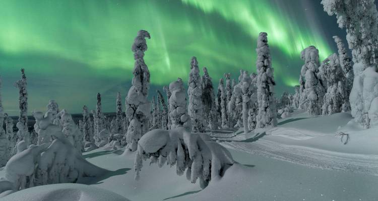 Magie de la Finlande et épopée de la Laponie Aventure arctique avec aurores boréales et igloo de verre - Expeditions Gateways 4