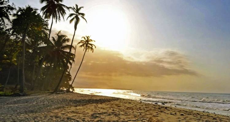 Le mythe de l'Eldorado : culture, café et Caraïbes (13 destinations) - DIAMIR Erlebnisreisen 7