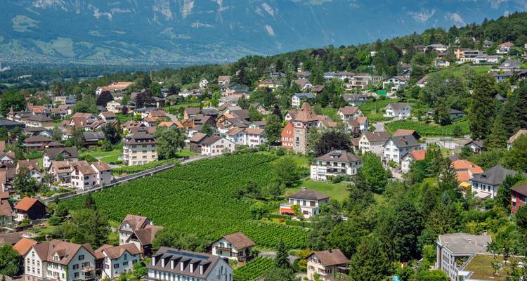 Le meilleur de la Suisse 9 jours - Globus 5