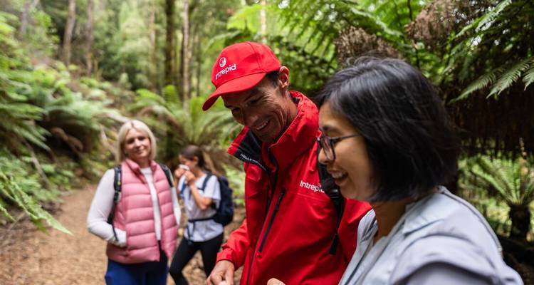 Tasmania Adventure - Intrepid Travel 1