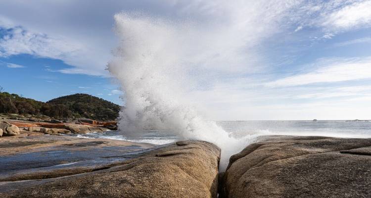 Tasmania Adventure - Intrepid Travel 2