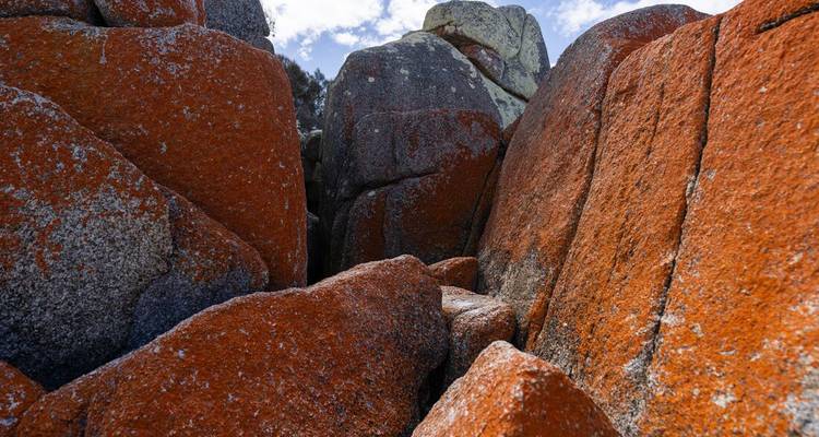 Tasmania Adventure - Intrepid Travel 8
