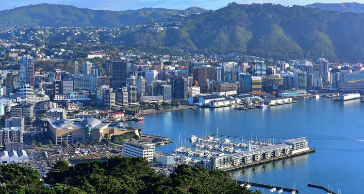 Vista panorámica de la ciudad y el puerto de Wellington.