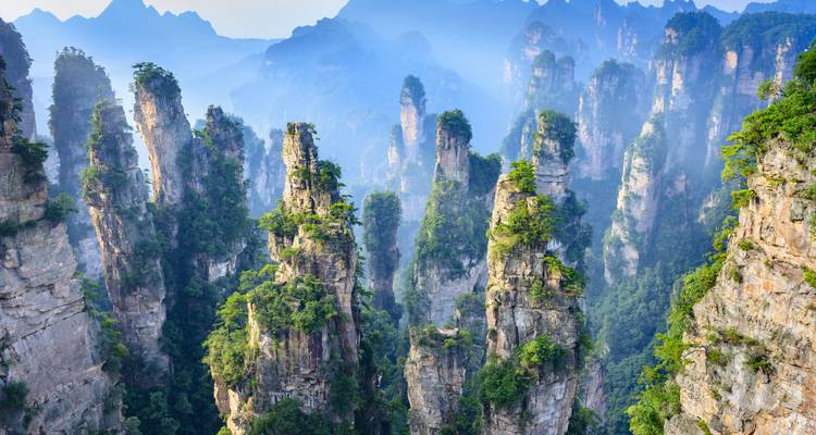 Vertikale Quarzsandstein-Säulen, die mit Grün bedeckt sind, ragen durch den Nebel im Zhangjiajie-Nationalpark empor.