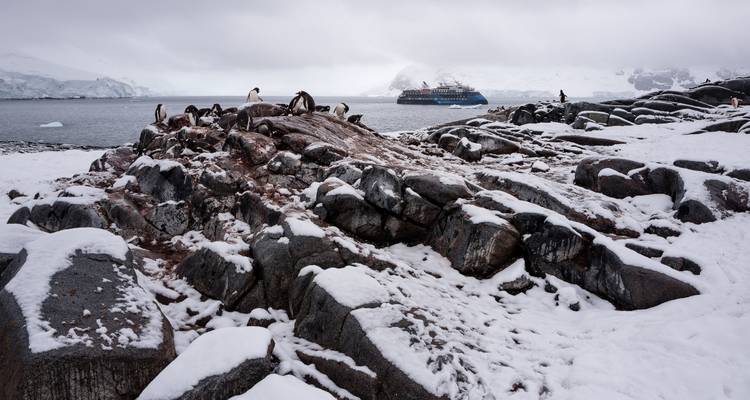 Îles Shetland du Sud et péninsule Antarctique avec options de restauration halal - Albatros Expeditions 7