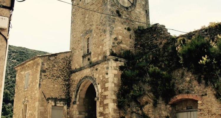Bike Tour, Provence, France (guided groups) - Authentic Africa 4