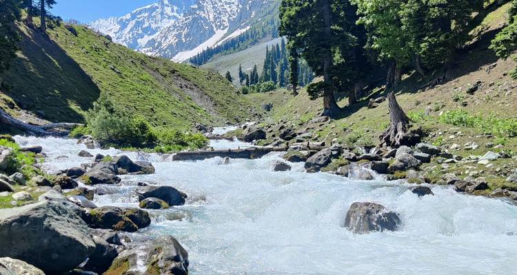 A crystal mountain stream tumbles over boulders between grassy slopes and snow-dusted peaks in bright sunshine.