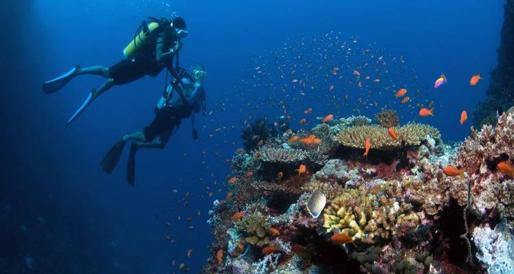 Exploring Maldives: Fihalhohi, Maafushi and Kuda Bandos Islands - Aitken Spence Travel 6